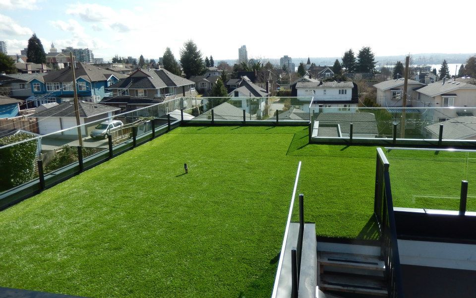terrace grass