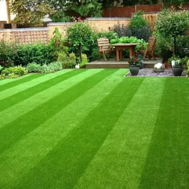 Garden Artificial Grass in Abu Dhabi
