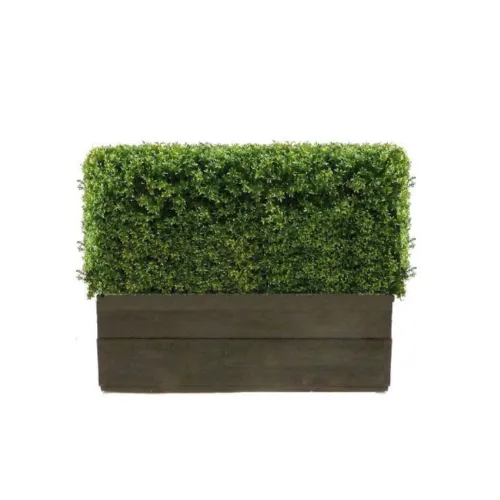 Artificial Buxus Hedge in timber trough Artificial Buxus Hedge in timber trough