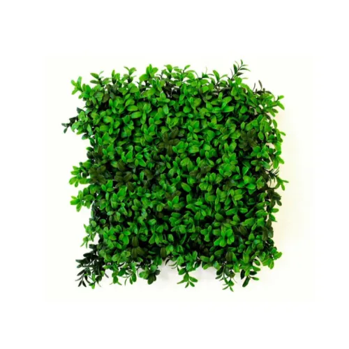 Buxus Hedge Panel Buxus Hedge Panel