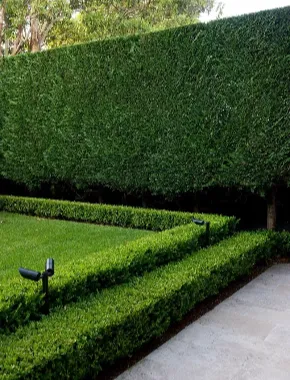 Artificial Hedge Garden Borders