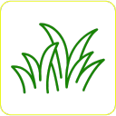 Artificial Hedge Instant Greenery