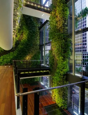 Artificial Hedge Wellness Centers