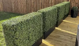 Artificial Hedge artificial grass hedge Abu Dhabi