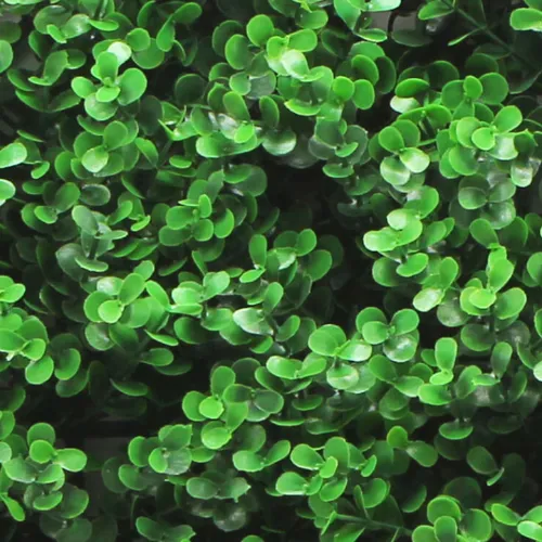 Buxus Wall Panel Fence