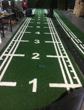 Golf Artificial Grass Indoor Gym