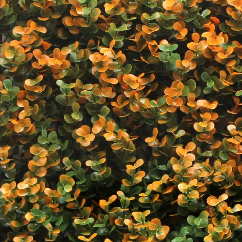 Orange Buxus Panel