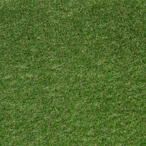 Oxwell 25mm Artificial Grass